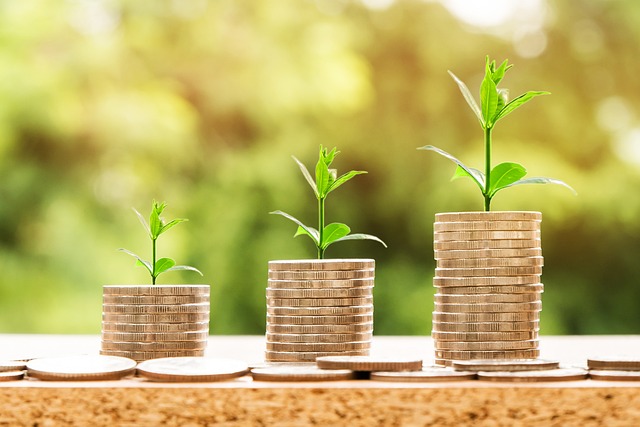 money-2696219_640 Micro FINANCE - Appassionata